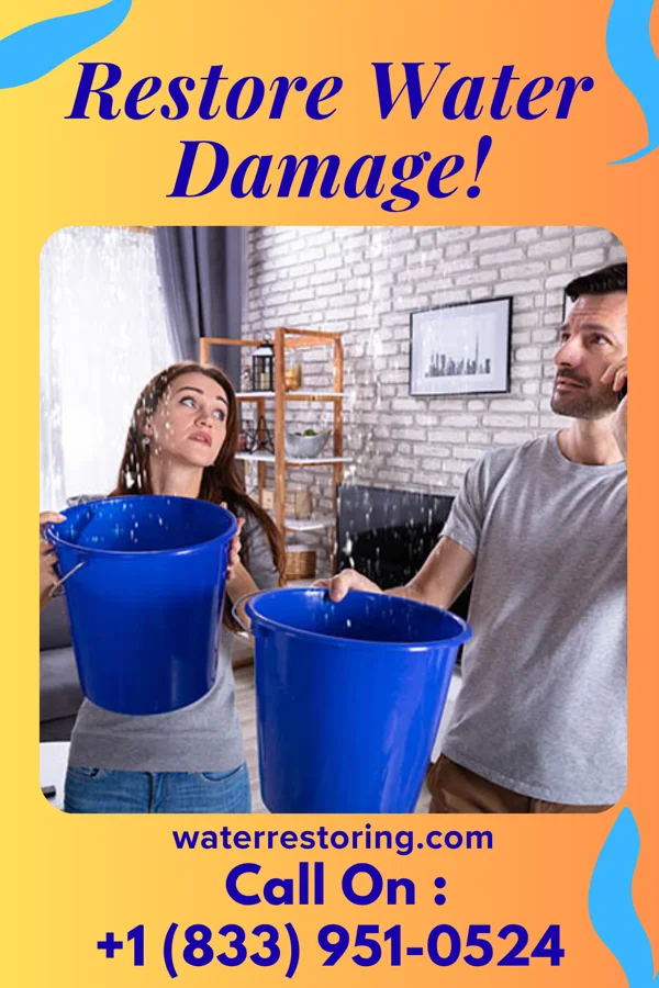 water restoration Shield Damage Recovery Force Lone Tree