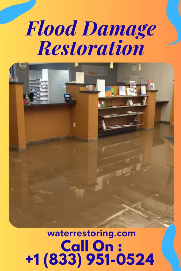 Flood Damage Restoration in Lone Tree, IA