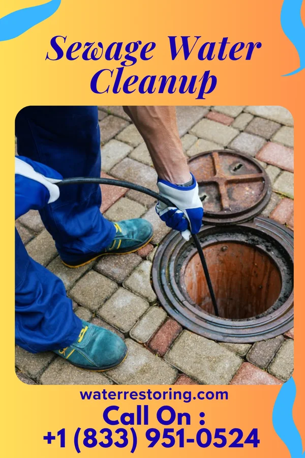 Sewage Water Cleanup in Lone Tree, IA